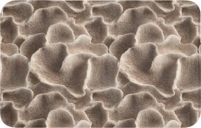 Badmat 80x50 cm - Antislip - Waaiervorm - Beige - Vezel textuur - Badmatten voor badkamer - Badkamermat - Douchemat - Badkamer mat