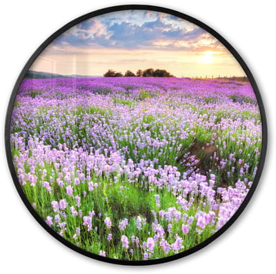 Poster in lijst Rond - Fotolijst 60x60 cm - Posters - Bloemen - Lavendel - Paars - Lucht - Zonsondergang - Weide - Natuur - Ronde posterlijst zwart - Decoratie - Wanddecoratie woonkamer - Muurdecoratie slaapkamer