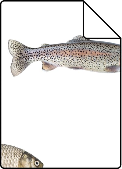Proefstaal ESTAhome behang vissen grijs - 26.5 x 21 cm - 139362-S