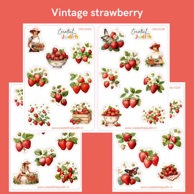 Bullet Journal Stickers - Planner Agenda Stickers - Vintage strawberry stickers - 4 stickervellen - aardbei - Scrapbook stickers - Deco stickers - fruit stickers - volwassenen en kinderen