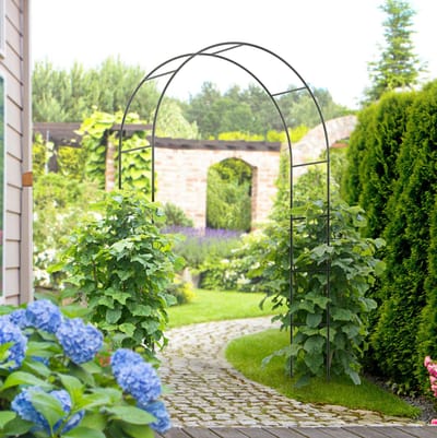 MEUNIQ rozenboog 140 x 40 x 240 cm van metaal voor klimplanten en rankplanten, tuinboog met poedercoating, 4 grondpennen, voor tuiningang en buitengebruik, zwart