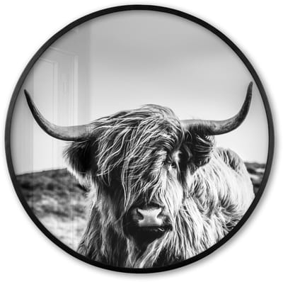 Poster in lijst Rond - Fotolijst 60x60 cm - Posters - Koe - Schotse hooglander - Zwart - Wit - Dier - Natuur - Wild - Ronde posterlijst zwart - Decoratie - Wanddecoratie woonkamer - Muurdecoratie slaapkamer