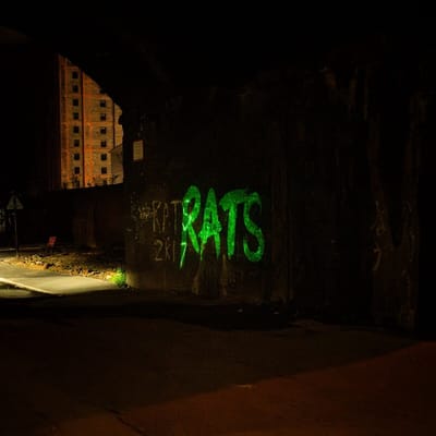 Rats - Rule The World (LP) (Coloured Vinyl)