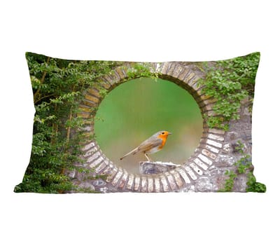 Sierkussens - Kussentjes Woonkamer - 50x30 cm - Vogel - Doorkijk - Roodborstje