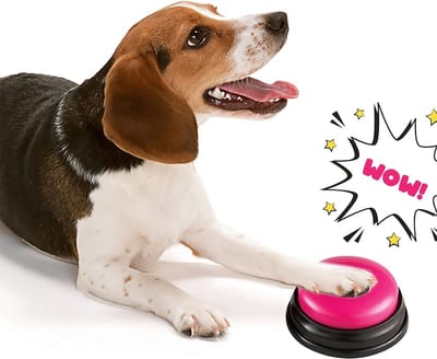 Livano Praatknop Hond - Dogbuttons - Honden - Voor Honden - Speelgoed - Honden Speelgoed Intelligentie - 4 Stuks