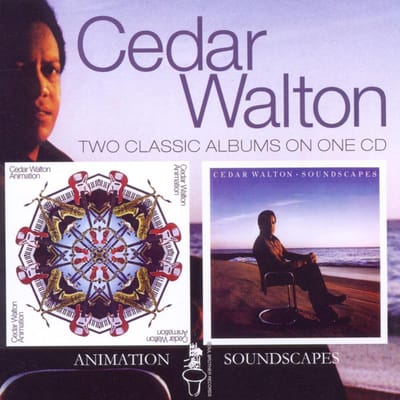 Animation / Soundscapes
