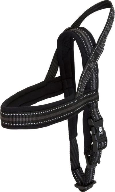 Honden Tuigje - Honden Harnas - Veilig Wandelen - Gewatteerde Bandjes - 45 cm Omvang - Zwart