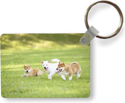 Sleutelhanger - Shiba Inu puppies in het gras - Uitdeelcadeautjes - Plastic
