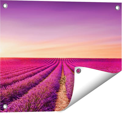 Gards Tuinposter Paarse Lavendel Bloemenveld - 50x40 cm - Tuindoek - Tuindecoratie - Wanddecoratie buiten - Tuinschilderij