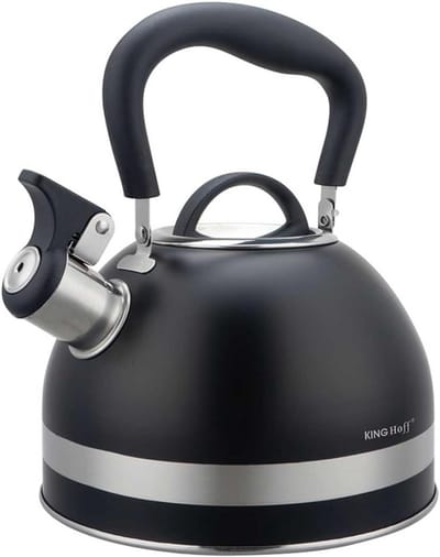 Waterkoker 1,8 liter van roestvrij staal - Fluitketel voor alle kookplaten, met inklapbare handgreep