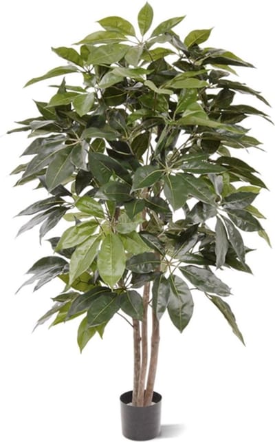 Scheflera Amate kunstboom 150cm