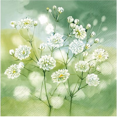 Servet "Little Beauties"