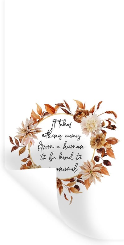 Muurstickers - Sticker Folie - It takes nothing away from a human to be kind to an animal - Spreuken - Quotes - Huisdieren - 40x80 cm - Plakfolie - Muurstickers Kinderkamer - Zelfklevend Behang - Zelfklevend behangpapier - Stickerfolie
