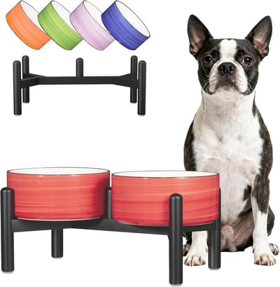 Thijox - Verhoogde Keramische Hondenbak met Roestvrijstalen Standaard - Dubbele Antislip Voederbak voor Kleine en Middelgrote Honden - 350g / 660ml -