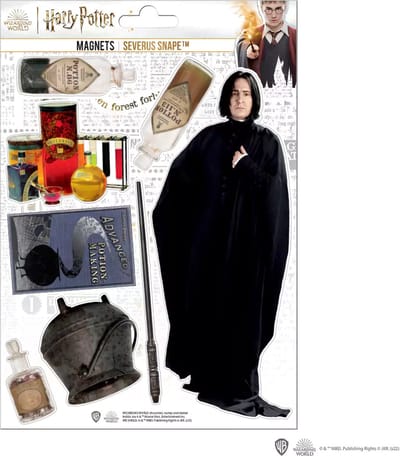 Harry Potter Magneten Severus Snape