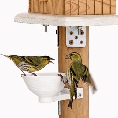 Vogel Drinkbak voor Buiten – Vogelbad voor Kleine Vogels – Waterbak voor Vogelhuis en Tuin – Geschikt voor Voederpaal 60 mm – 150 ml – Wit