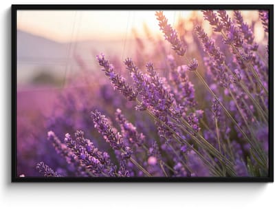 Poster in lijst - Fotolijst 120x80 cm - Posters - Lavendel - Paars - Zonlicht - Posterlijst zwart - Decoratie - Wanddecoratie woonkamer - Muurdecoratie slaapkamer