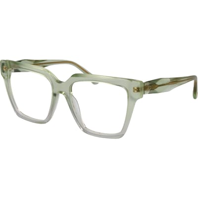 Ana Hickmann Brilmontuur AH6522 C01 55