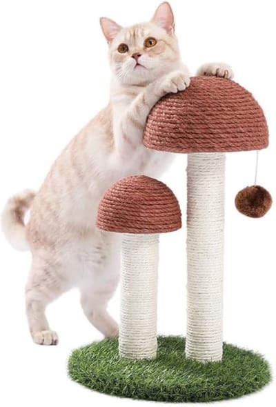 Lexium Krabpaal voor zware katten - Krabpaal voor grote katten - Stevige krabpaal - Geschikt voor grote en zware katten