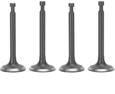 Dailygoody - Set van 2 Inlaat Uitlaatkleppen voor GX160/GX200 Generatoren - Hoogwaardige OEM Onderdelen