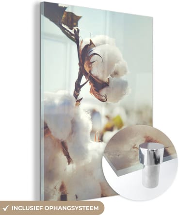 MuchoWow® Glasschilderij 30x40 cm - Schilderij acrylglas - Planten - Bloem - Tak - Natuur - Foto op glas - Schilderijen