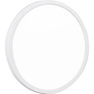 24W Eenvoudige Installatie Plafondlamp 120 Graden Stralingshoek Volledig Plastic Goed Afgedicht voor Woonkamer warme witte kleur
