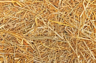 Eckhardt Stro 2,5 kilo (75 liter)