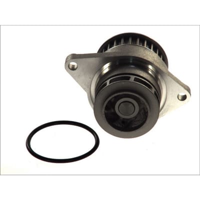 Koelvloeistof pomp MAGNETI MARELLI 352316171189