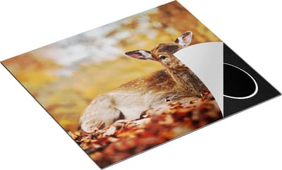 Chefcare Inductie Beschermer Baby Hert tussen de Bladeren in een Herfst Bos - 60x50 cm - Afdekplaat Inductie - Kookplaat Beschermer - Inductie Mat