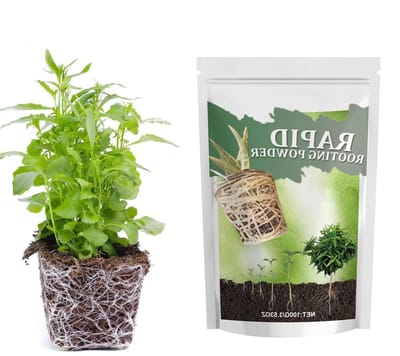 Root Powder For Cuttings,Growth Stimulator for Succulents | Long Lasting Acting Root Stimulating Growth Powder Safe for Garden Lawn and Greenhouse