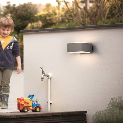 Philips Hedgehog wall lantern grey 1x42W 230V