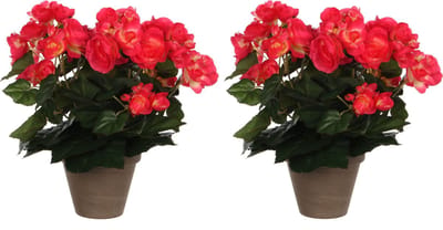 Mica Decoration Kunstplant - 2x - begonia - roze - in pot - 25 cm - nepplanten