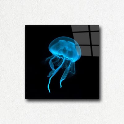 Indoorart - Glasschilderij kwal 50x50 CM - Afbeelding op plexiglas - Inclusief montagemateriaal