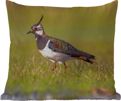 Tuinkussen - Vogel - Gras - Natuur - Dieren - Kievit - 40x40 cm - Weerbestendig