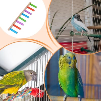 Vogelladder Speelgoed - Klimtouw Vogel - Vogel Training - Klaauw Snavel Verzorging - 1 Niveaus - Houtkleur