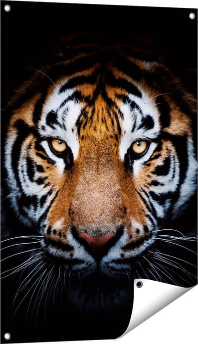 Gards Tuinposter Tijger op Zwart Achtergrond - 60x90 cm - Tuindoek - Tuindecoratie - Wanddecoratie buiten - Tuinschilderij