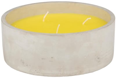 Citronella kaars in pot