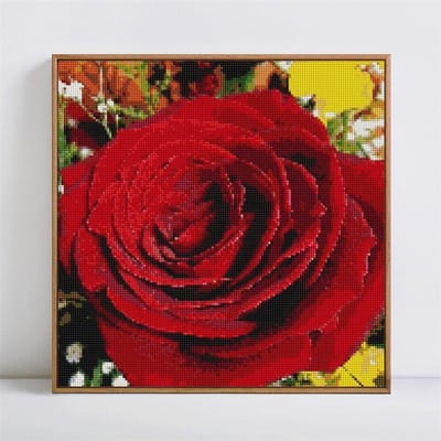 Diamant borduurwerk rode roos 5D Diamond schilderij bloem mozaïek DIY volledige ronde kruissteek 30x30CM red