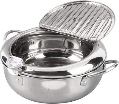 Frituurpan met Thermometer - Mini Friteuse - Thuis Frituren - Professionele Temperatuurcontrole - 24 cm - Zilver