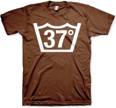 Hybris 37 Celcius Tee T-shirt bruin