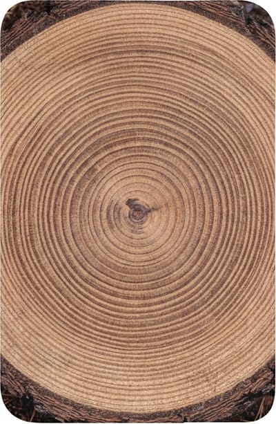 WC mat 40x60 cm - Antislip - Boomstam - Hout - Bruin - Toiletmat - Vloermat - Douchemat - Toilet tapijt - Toiletmatten