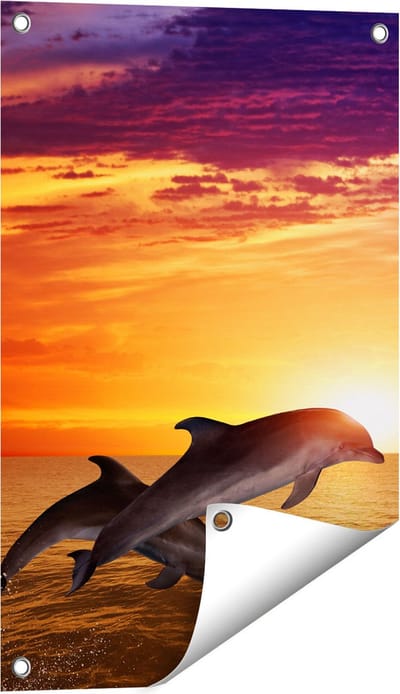 Gards Tuinposter Twee Dolfijnen bij de Zonsondergang - 40x60 cm - Tuindoek - Tuindecoratie - Wanddecoratie buiten - Tuinschilderij