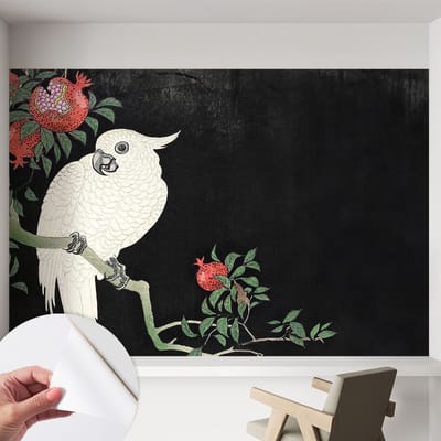 Coloray Zelfklevend Behang - Granaatappelpapegaai Zelfklevend fotobehang - 152x104 cm - Zwart Zelfklevend Behang - Voor de woonkamer, slaapkamer en kantoor - Herpositioneerbaar - Stickerbehang op rol