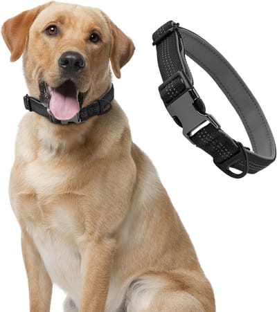 Zachte Neopreen Hondenhalsband, Ademend en Verstelbaar, Lichtgewicht voor Kleine en Middelgrote Honden, Geschikt voor 30-40 cm Halsomvang