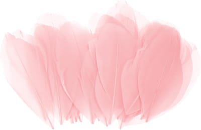 100 Stuks Natuurlijke Gansveren voor Knutselen, Champagnekleurige Fluffy Pluimen voor Bruiloft Decoraties, Droomvangers en DIY Creaties