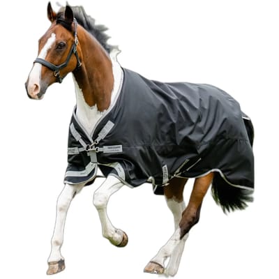 Outdoor paardendeken Amigo 1200D 100g