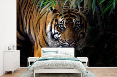Behang - Fotobehang Tijger - Bladeren - Jungle - Dieren - Wild - Breedte 420 cm x hoogte 280 cm