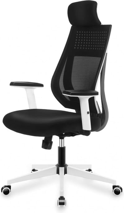 Mark Adler 3.9 Ergonomische Bureaustoel - Comfortabele Kantoorstoel - Verstelbaar Design Bureau Stoel - Zwart