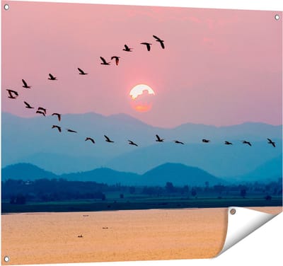 Gards Tuinposter Silhouet van Zwerm Vogels bij Zonsondergang - 100x80 cm - Tuindoek - Tuindecoratie - Wanddecoratie buiten - Tuinschilderij