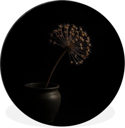 WallCircle - Wandcirkel - Muurcirkel - Bol - Gedroogd - Vaas - Zwart - Aluminium - Dibond - 30x30 cm - Binnen en Buiten